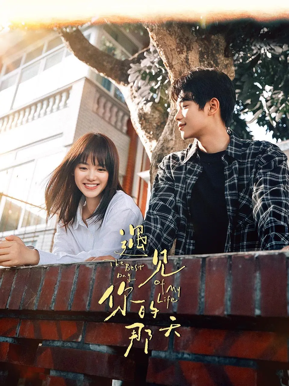 正月嫁女对联,正月嫁女对联100副