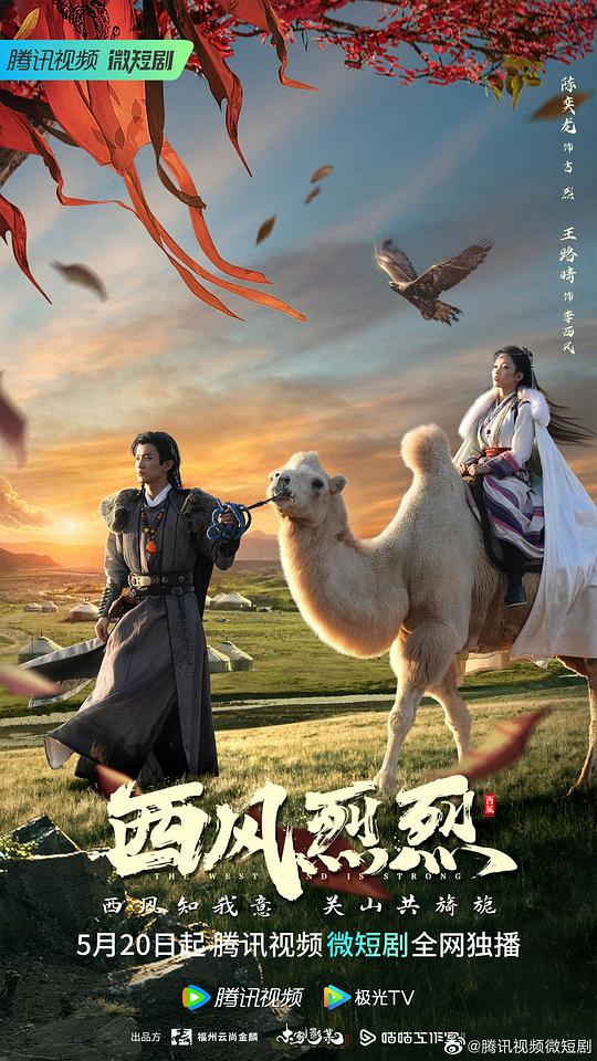 新月直播大全免费下载